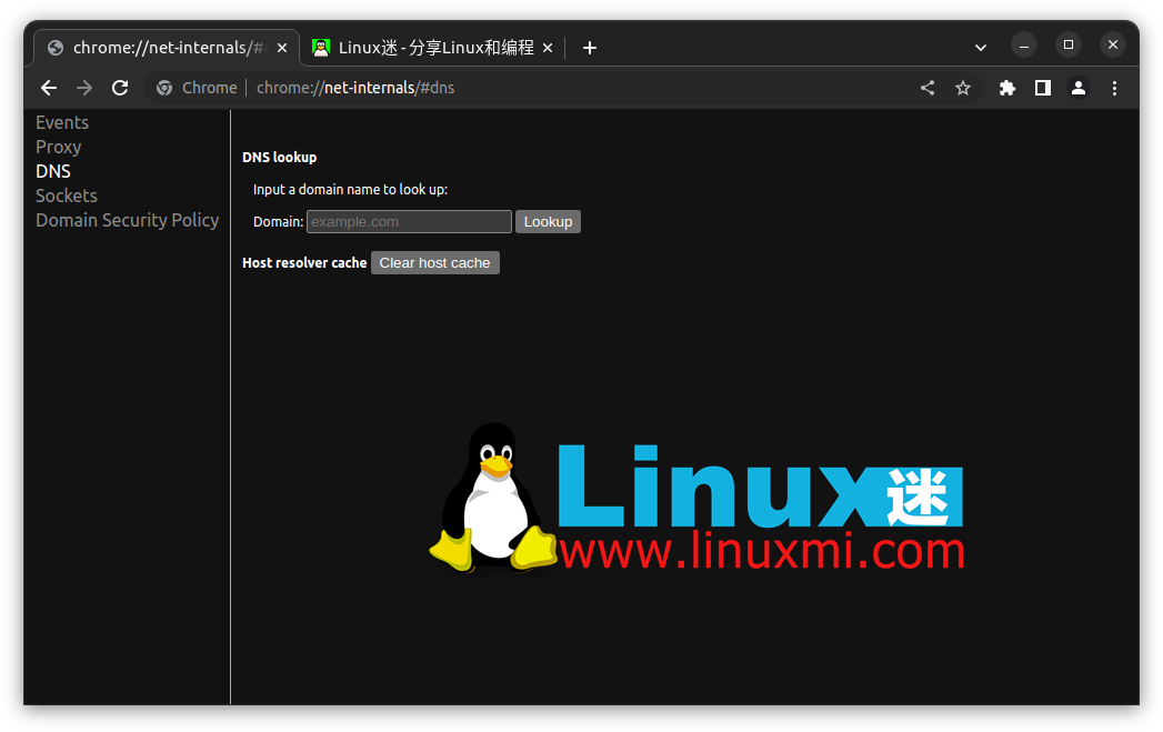 怎样在 Linux 上审查和刷新 DNS 缓存